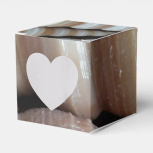 Ballotins Ballotin Sunny Seashells, Mariage Summer Beach