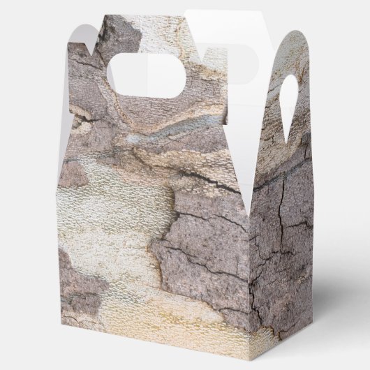 Ballotins Barque d'arbre (Ouvert)