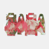 Ballotins Bashkirtseff (Déplié)