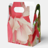 Ballotins Bashkirtseff (Ouvert)