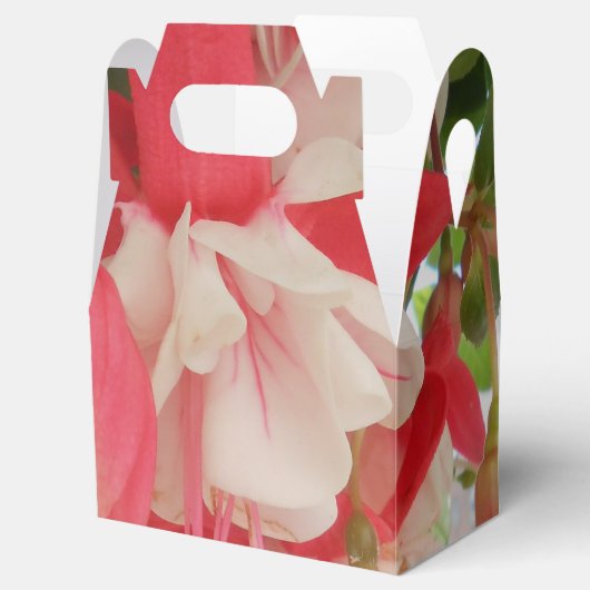 Ballotins Bashkirtseff (Ouvert)