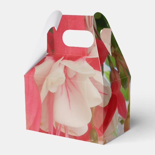 Ballotins Bashkirtseff (Verso)