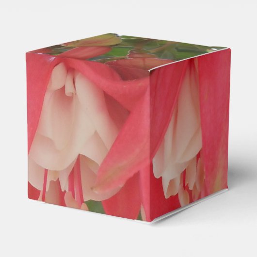 Ballotins Bashkirtseff (Arrière)