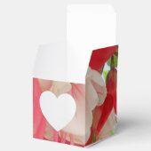 Ballotins Bashkirtseff (Ouvert)