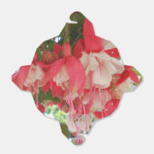 Ballotins Bashkirtseff (Déplié)