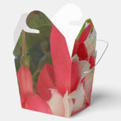 Ballotins Bashkirtseff (Ouvert)