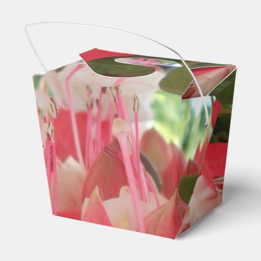 Ballotins Bashkirtseff (Arrière)