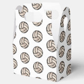 Ballotins Beach Volley Ball (Ouvert)