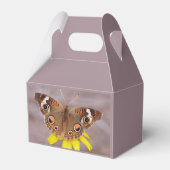 Ballotins Beau papillon sur fleur jaune (Arrière)