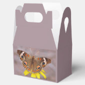 Ballotins Beau papillon sur fleur jaune (Ouvert)