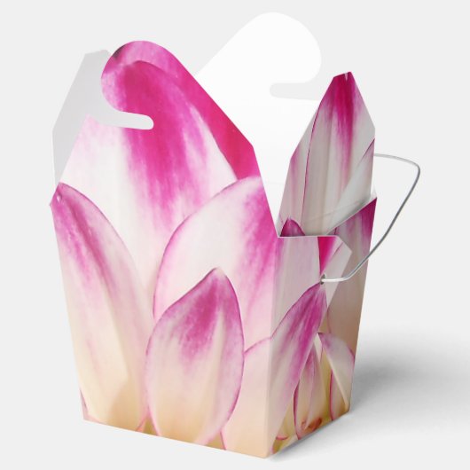 Ballotins Beaux (Ouvert)