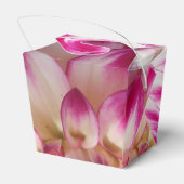 Ballotins Beaux (Arrière)