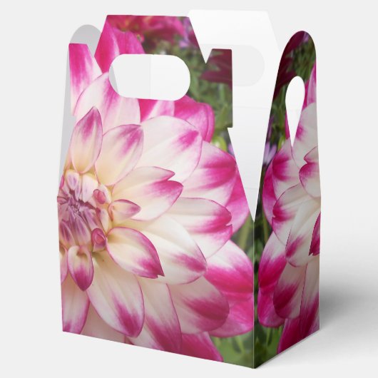 Ballotins Beaux (Ouvert)