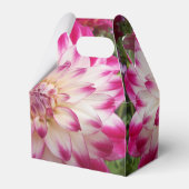 Ballotins Beaux (Verso)