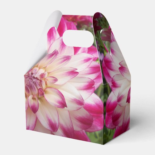 Ballotins Beaux (Verso)