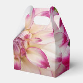 Ballotins Beaux (Verso)