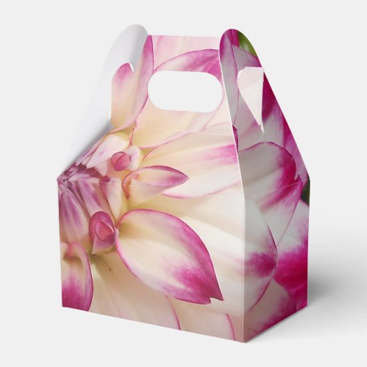 Ballotins Beaux (Verso)