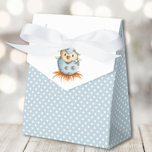 Ballotins Bébé bleu oiseau