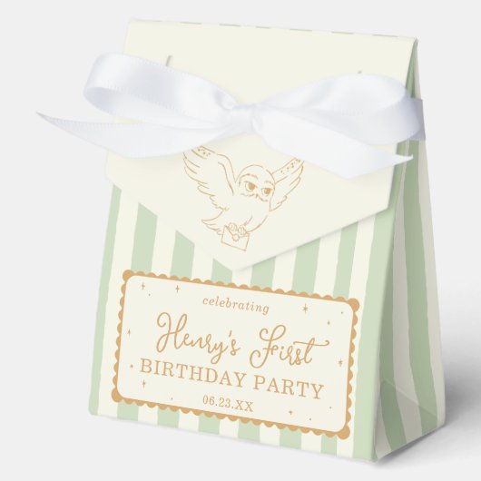 Ballotins Bébé Harry Potter Hedwig Rayure Verte Cadeau de Na (Recto)