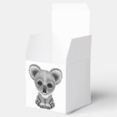Ballotins Bébé mignon Koala Bear Cub (Ouvert)