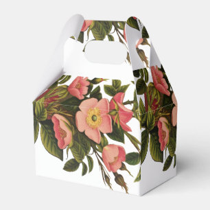 Ballotins Belle Botanique rose Rose vintage