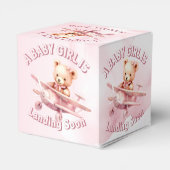 Ballotins Belle fille Bébé Ours Pilote Avion Rose Belle (Arrière)