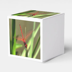 Ballotins Belle peinture acrylique de libellule de fût