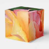 Ballotins Belle photo rose rose et orange (Arrière)