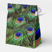 Ballotins Belles plumes de paon (Arrière)