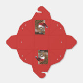 Ballotins Bengale Tiger Père Noël (Déplié)