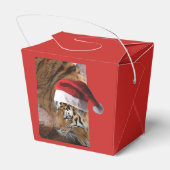 Ballotins Bengale Tiger Père Noël (Arrière)