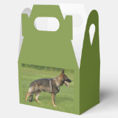 Ballotins Berger Allemand Sable Complet (Ouvert)