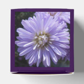 Ballotins Berlinette (Haut)