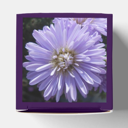 Ballotins Berlinette (Haut)