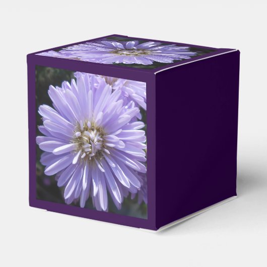 Ballotins Berlinette (Arrière)