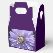 Ballotins Berlinette (Ouvert)