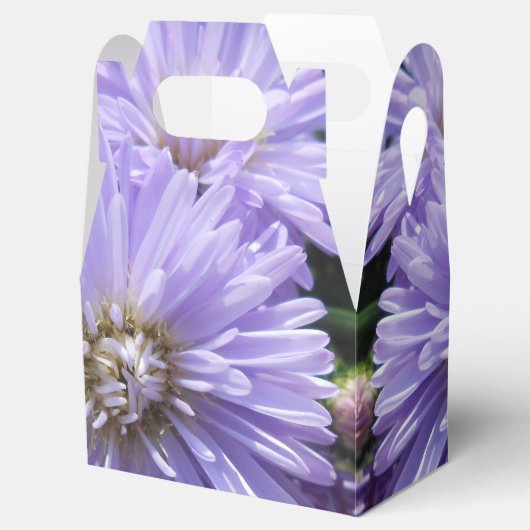 Ballotins Berlinette (Ouvert)