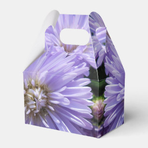 Ballotins Berlinette