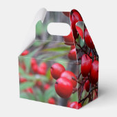 Ballotins Berries d'automne (Arrière)