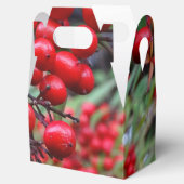 Ballotins Berries d'automne (Ouvert)