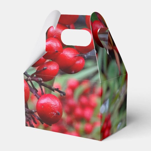 Ballotins Berries d'automne (Verso)
