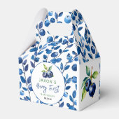 Ballotins Berry First Blueberry 1er Anniversaire (Arrière)