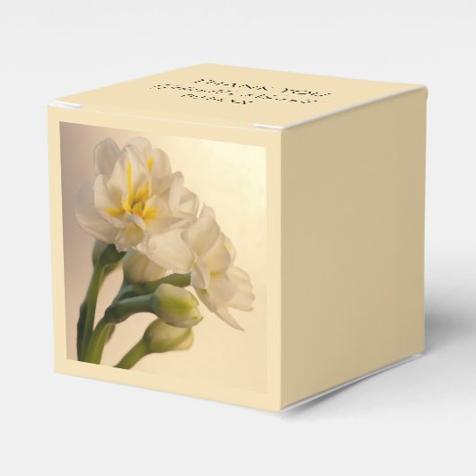 Ballotins Blanc Double Daffodils Printemps Mariage (Verso)