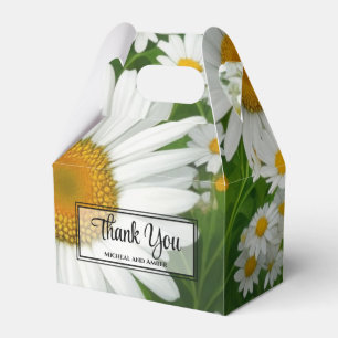 Ballotins Blanc printemps floral blanc marguerites verdure