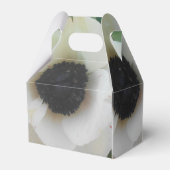 Ballotins Blanchard (Arrière)