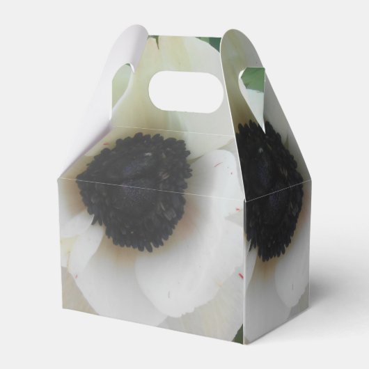 Ballotins Blanchard (Arrière)