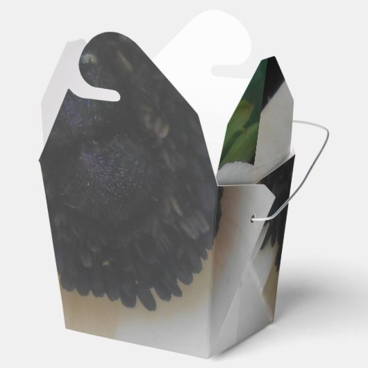 Ballotins Blanchard (Ouvert)