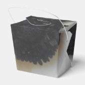 Ballotins Blanchard (Arrière)