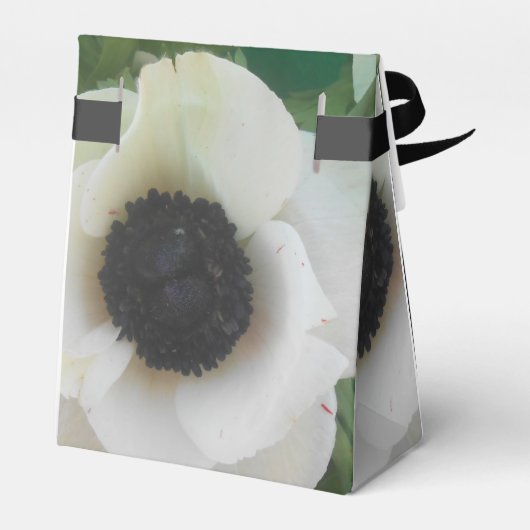 Ballotins Blanchard (Arrière)