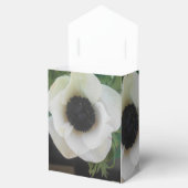 Ballotins Blanchard (Ouvert)